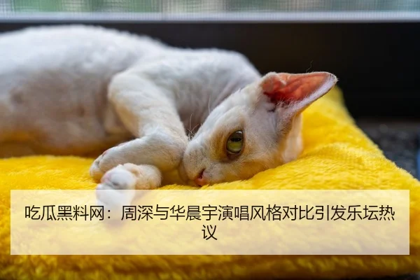 吃瓜黑料网：周深与华晨宇演唱风格对比引发乐坛热议